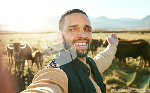 Image of Agriculture, farming animal and man video call with cattle for social media, eco friendly blog or agro small business advertising. Influencer farmer in portrait selfie for sustainability of cows