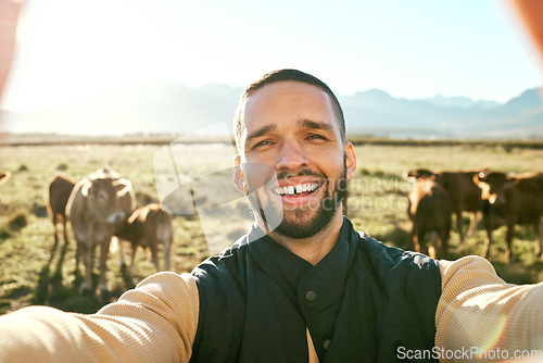 Image of Man, farm and portrait smile for selfie in the countryside with live stock, cows or production for agriculture growth. Happy male farmer smiling for travel, farming or photo in nature with animals