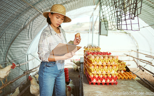 Image of Woman, clipboard or chicken eggs on farm export sales, stock management or import order review. Asian farmer, poultry or bird product for sustainability agriculture paper or countryside dairy farming