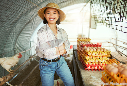 Image of Chicken, eggs and agriculture with asian woman on farm for sustainability, free range or food. Organic, livestock and poultry with portrait of girl farmer in hangar for production, market and farming