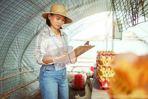 Image of Farmer, clipboard writing or chicken eggs management for export sales, healthy food industry or delivery checklist. Asian woman, farming coop or poultry farm production with logistics paper documents