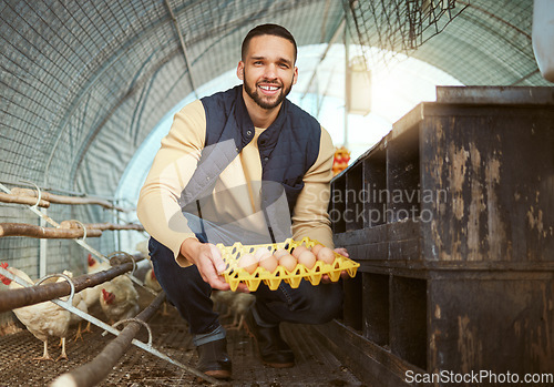 Image of Farmer, chicken and poultry with man and eggs, farming with livestock and protein, nutrition and organic in chicken coop. Smile, portrait and agriculture, farm food and sustainability with nature.