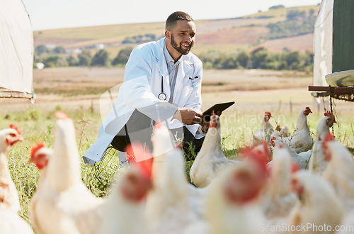 Image of Man, veterinary or tablet on chicken farm for healthcare wellness, bird flu compliance or growth hormone research. Smile, happy or animals doctor with poultry, 5g digital technology or eggs farming