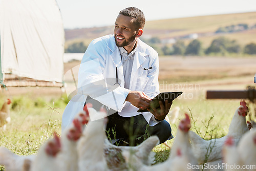 Image of Man, veterinary or tablet on chicken farm in healthcare wellness check, growth hormone management or bird flu help. Smile, happy or animal doctor with poultry birds, technology for research insurance