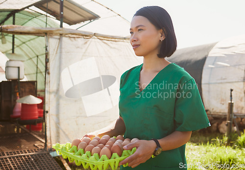 Image of Vet healthcare, farm and woman with egg for quality control, health inspection and check organic chicken product. Sustainability farming, greenhouse farmer and Asian veterinarian for animal care