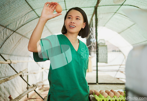 Image of Woman, egg quality and check on farm, chicken and poultry with agriculture and natural, organic and free range eggs. Japanese farmer in greenhouse, farming and sustainable business in rural Japan.