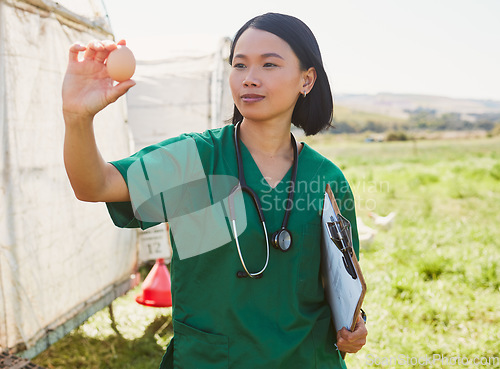 Image of Asian woman, chicken egg and vet at farm checking health of eggs, quality control or inspection. Agro, poultry farmer and veterinarian nurse in countryside holding food for farming safety compliance.