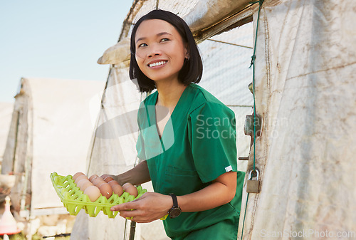 Image of Small business, chicken or happy farmer with eggs from livestock or organic poultry farming production. Sustainability, development or Asian woman with protein from a natural environment in Japan