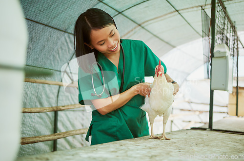 Image of Veterinary, woman and chicken healthcare on farm for medical assessment, industry growth and analysis in hen house. Happy asian animal doctor, poultry worker and wellness check for bird flu in barn