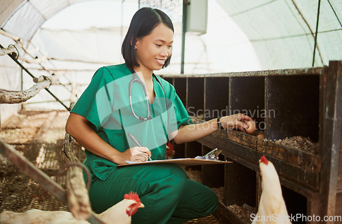 Image of Chicken, writing and documents with an asian woman vet checking eggs in a coup on a farm for sustainability. Food, medical and checklist with a female veterinarian working in a henhouse for care