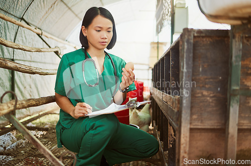 Image of Egg inspection, care and farm vet doing an animal consultation, sustainable healthcare and agriculture notes. Chicken support, medical and Asian worker doing check on poultry and writing results