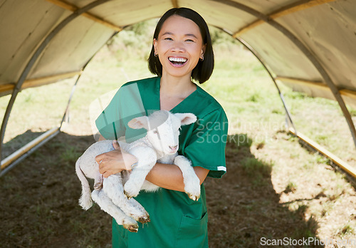 Image of Portrait, vet and animal on farm for livestock inspection, animal care and environment check up in countryside. Agriculture, veterinarian and woman with a lamb for farming check up, happy and smile