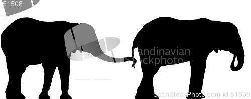 Image of Elephant Silhouettes