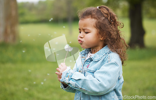 Image of Playing, blowing plant and child in nature, environment exploration and wish on ecology in Australia. Carefree, sustainability and girl kid with a dandelion in a park, garden or backyard for fun