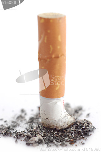 Image of Cigarette butt