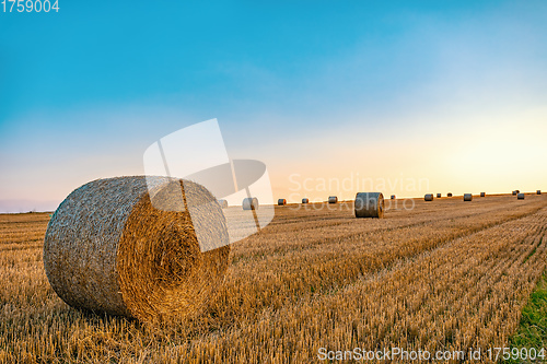 Image of Straw bales stacked in a field at summer time in sunset