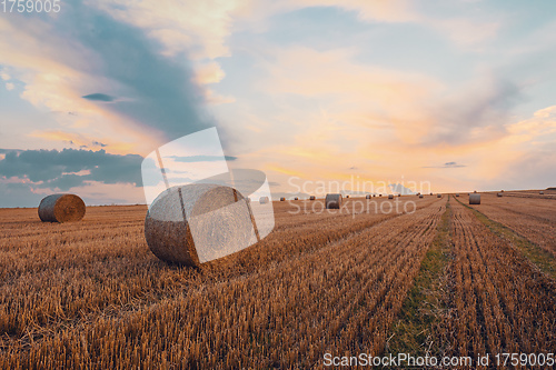 Image of Straw bales stacked in a field at summer time in sunset