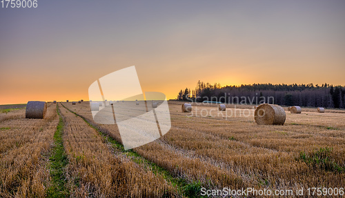 Image of Straw bales stacked in a field at summer time in sunset