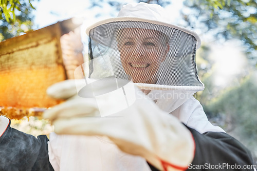 Image of Beekeeping, farm and woman beekeeper in the honey production industry working on sustainable field. Eco friendly, farming and female farmer busy with natural bee honeycomb process in agro environment