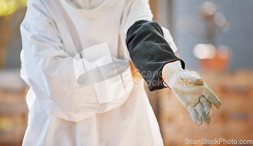 Image of Beekeeper, hand and glove on bee farming worker ready for maintenance, harvest and manufacturing of honey in a factory, warehouse or workshop. Hands of worker with safety gear for working with bees