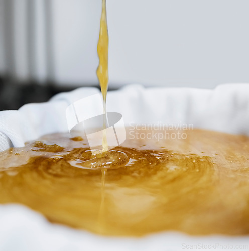 Image of Honey production, extraction and drip in factory with sweet gold, splash and filter cloth in container. Honeycomb harvest, manufacturing and process with machine, liquid and beekeeping in California