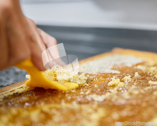 Image of Extraction, beekeeping and hands of a worker with honeycomb, sustainability and natural food on a farm. Agriculture, process and beekeeper with production of eco friendly and organic honey farming