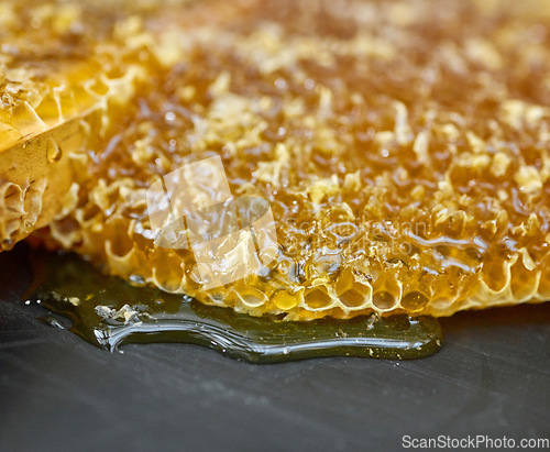 Image of Closeup honeycomb, natural product and gold food for health, wellness and sweet nutrition at bee farm. Beeswax, honey and zoom of drip, liquid and production for healthy syrup for diet in factory