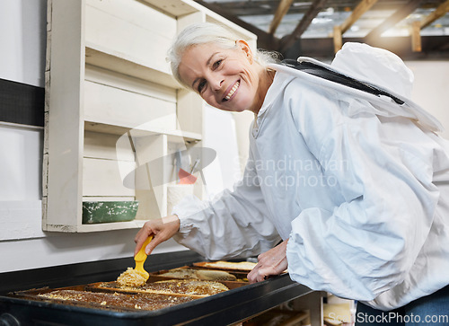 Image of Senior woman, beekeeping and honey during production process for bee farming, extraction and uncapping while in a workshop or factory for organic small business. Portrait of honeycomb farmer working