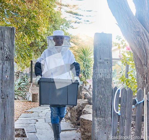 Image of Beekeeping, nature and woman with box in garden with protection suit to harvest, collect and extract honeycomb. Farming, bees and female beekeeper with crate of organic, natural and healthy honey