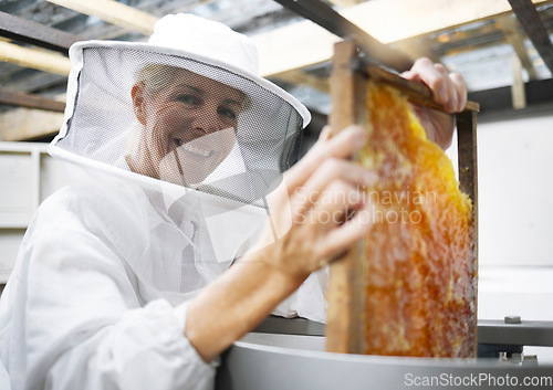 Image of Portrait, farm and beekeeping with a senior woman farming working in a factory for honey production. Factory, agriculture and beekeeper with a mature female farmer working with a honeycomb frame