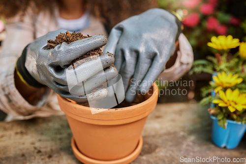 Image of Garden, hands or woman with plant soil for gardening, agriculture growth or small business owner for nature or flowers. Eco friendly, environment or worker for spring, dirt compost or sustainability