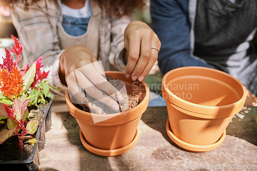 Image of Woman hands, pot plant and planting in garden, sustainability and growth for small business nursery. Gardening shop worker, hand in soil and plants in greenhouse for eco friendly agro florist startup