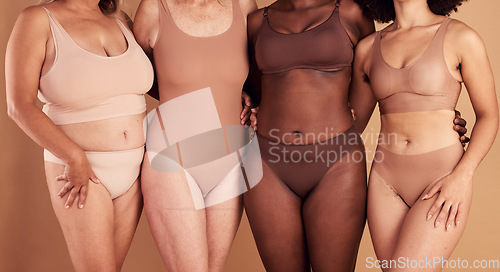 Image of Diversity, women and real body with natural beauty, skincare and wellness together on studio background. Closeup group of female models in underwear for self love, empowerment and inclusive community