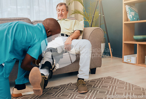 Image of Senior man, physiotherapist and leg brace for rehabilitation, injury and support for wellness, muscle or knee. Man, sofa and physiotherapy with nurse, doctor or caregiver for health, training or talk