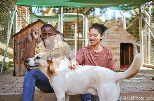 Image of Animal shelter, adoption and dog with a black couple petting a canine at a rescue center as volunteer workers. Love, charity and community with a man and woman at a kennel to adopt or foster a pet