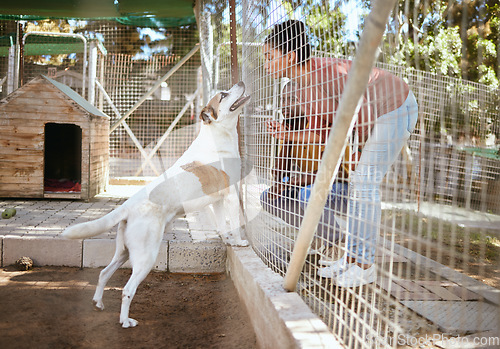 Image of Fence, dog and adoption at animal shelter with black couple playing with animal. Empathy, foster care and man and woman bonding, enjoying time and having fun with excited pet at vet, kennel or pound.