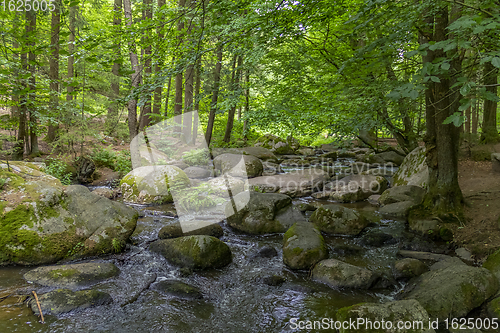 Image of nature reserve in the Bavarian Forest