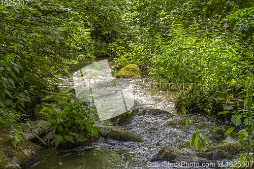 Image of nature reserve in the Bavarian Forest