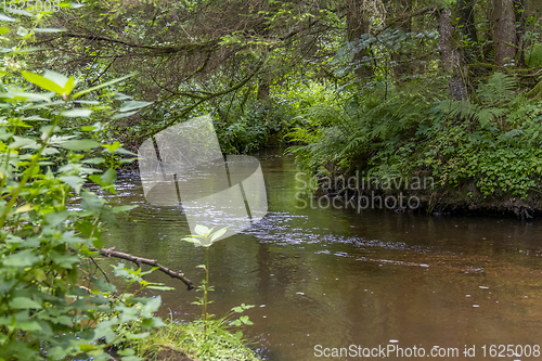 Image of nature reserve in the Bavarian Forest