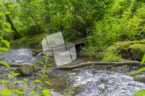 Image of nature reserve in the Bavarian Forest