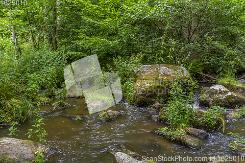 Image of nature reserve in the Bavarian Forest