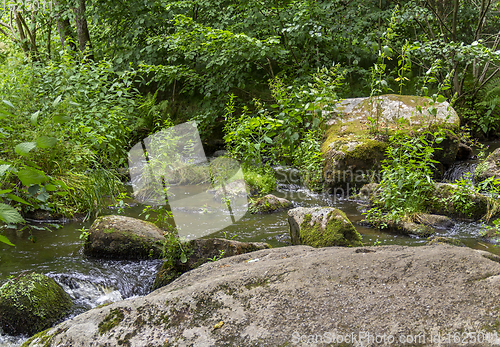 Image of nature reserve in the Bavarian Forest