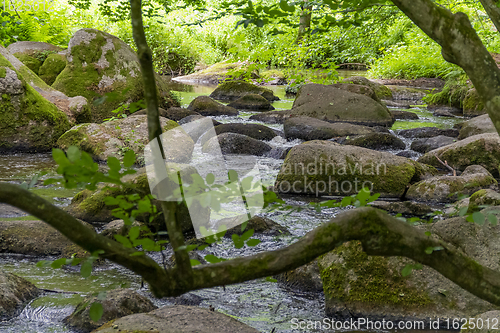 Image of nature reserve in the Bavarian Forest