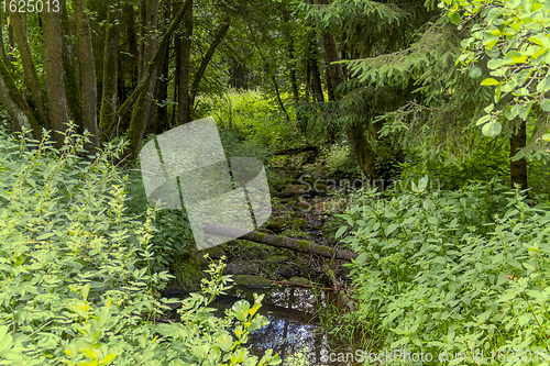 Image of nature reserve in the Bavarian Forest