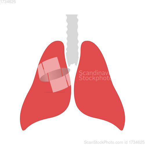 Image of Human Lungs Icon