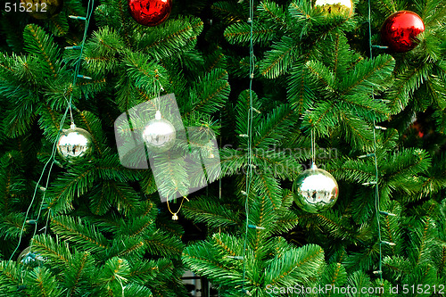 Image of Christmas Tree