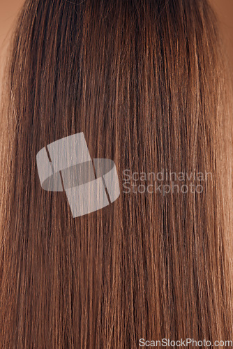Image of Woman headshot, back and brown hair style in studio keratin treatment, Brazilian dye color or healthcare wellness. Zoom, texture and brunette strands with straight detail on model with healthy growth