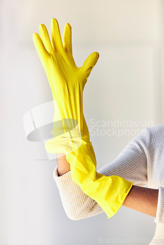 Image of Cleaning gloves, hands and woman in home ready to sanitize for hygiene, wellness and health. Spring cleaning, cleaning service and female cleaner preparing to remove dust, germs or bacteria in house