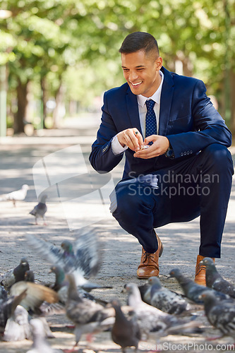 Image of Business, man and feeding birds outdoor in the park during a work break for happiness and peace. Businessman, feed and hungry pigeons eating in a nature garden during a work lunch break