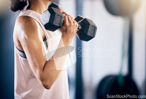 Image of Woman, arms or dumbbell gym workout, training or exercise for strong muscle growth, healthcare wellness or body management. Sports athlete, personal trainer or coach with weightlifting fitness goals